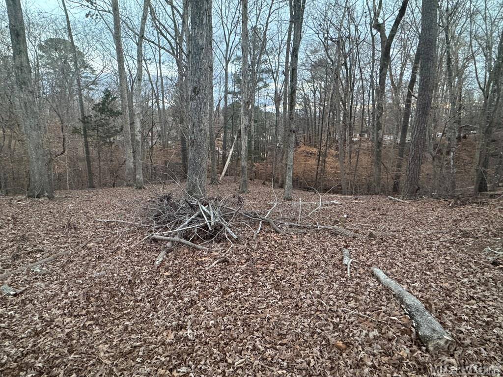 46 Hunters Creek Road, Littleton, NC 27850