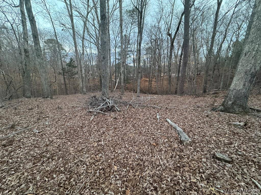 46 Hunters Creek Road, Littleton, NC 27850