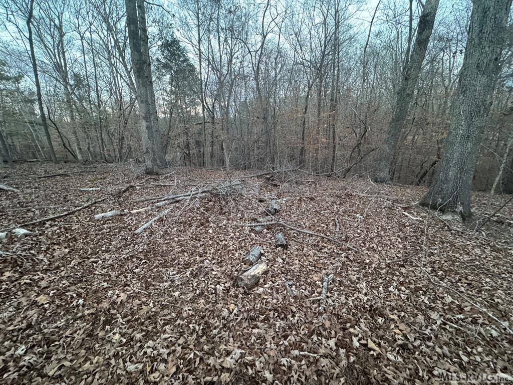 46 Hunters Creek Road, Littleton, NC 27850