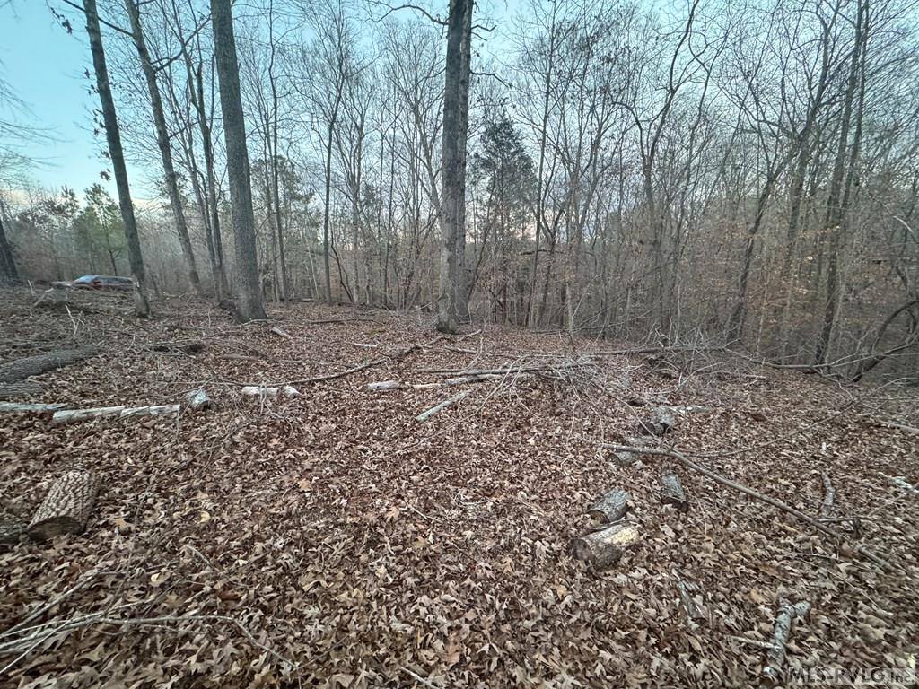 46 Hunters Creek Road, Littleton, NC 27850