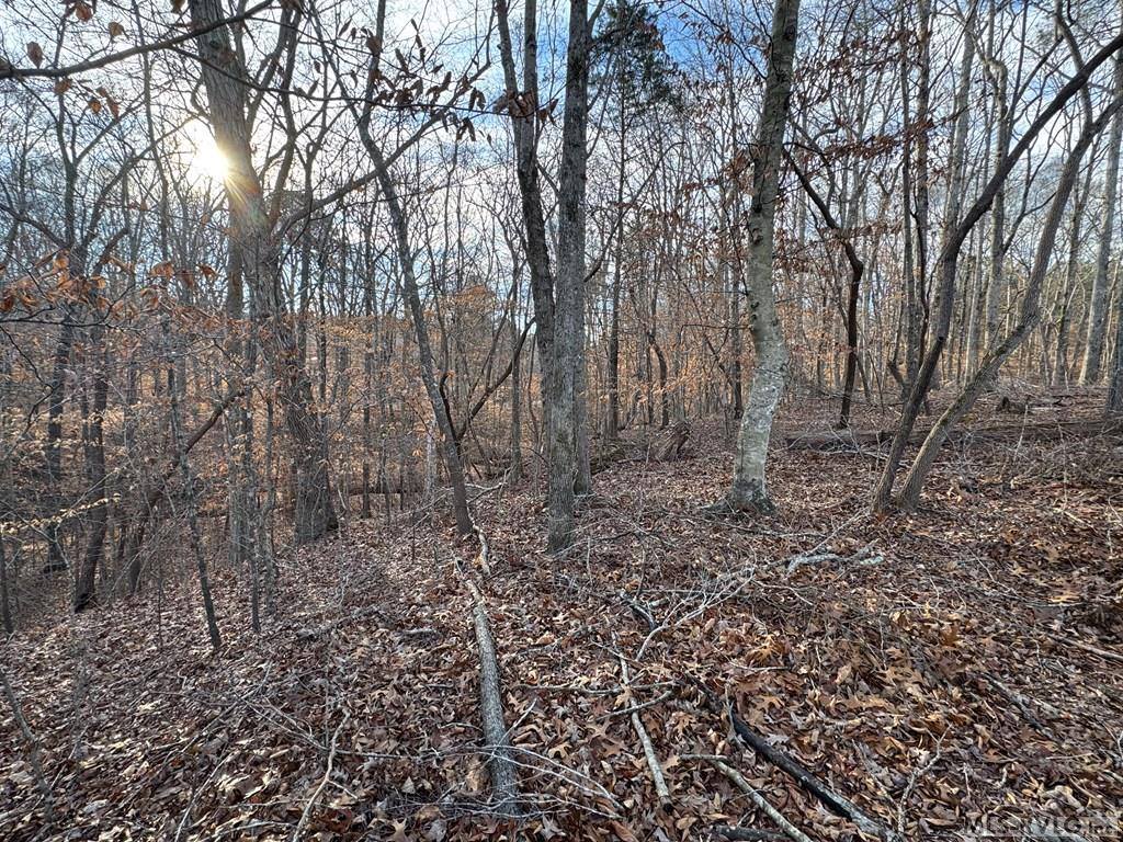 46 Hunters Creek Road, Littleton, NC 27850