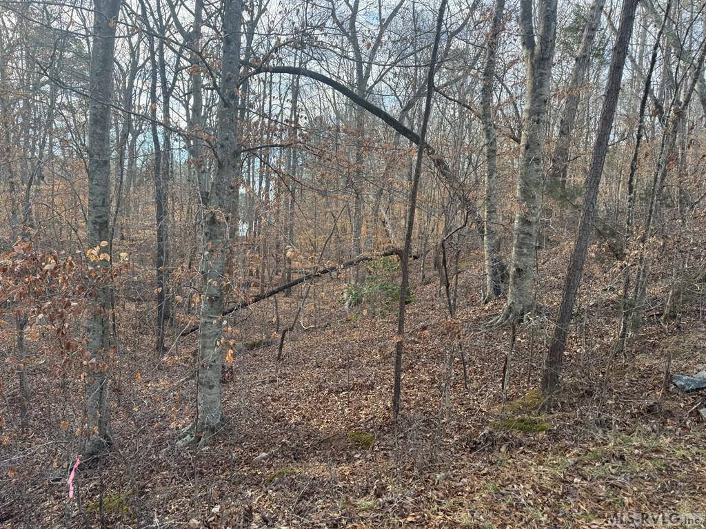 46 Hunters Creek Road, Littleton, NC 27850