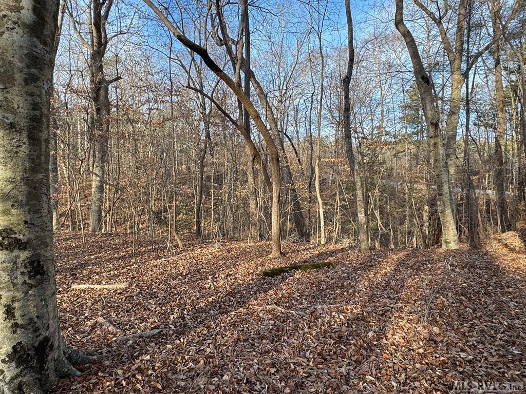 46 Hunters Creek Road, Littleton, NC 27850