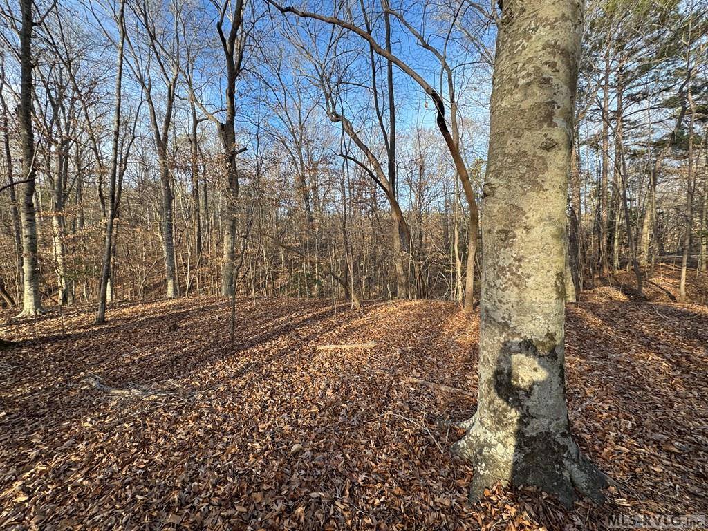 46 Hunters Creek Road, Littleton, NC 27850