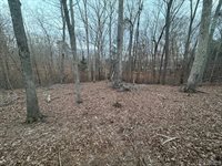 46 Hunters Creek Road, Littleton, NC 27850