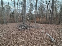 46 Hunters Creek Road, Littleton, NC 27850