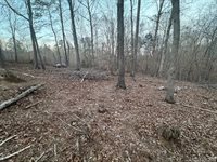 46 Hunters Creek Road, Littleton, NC 27850