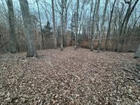 46 Hunters Creek Road, Littleton, NC 27850