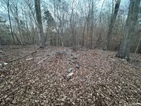 46 Hunters Creek Road, Littleton, NC 27850