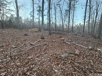 46 Hunters Creek Road, Littleton, NC 27850