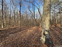 46 Hunters Creek Road, Littleton, NC 27850