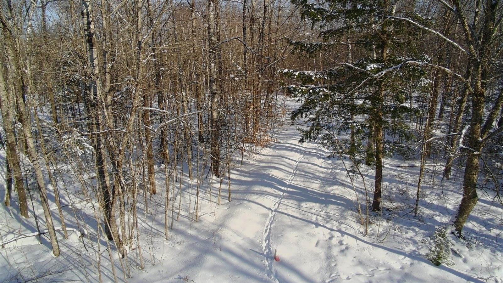 36 Ladd Road, Sebec, ME 04481