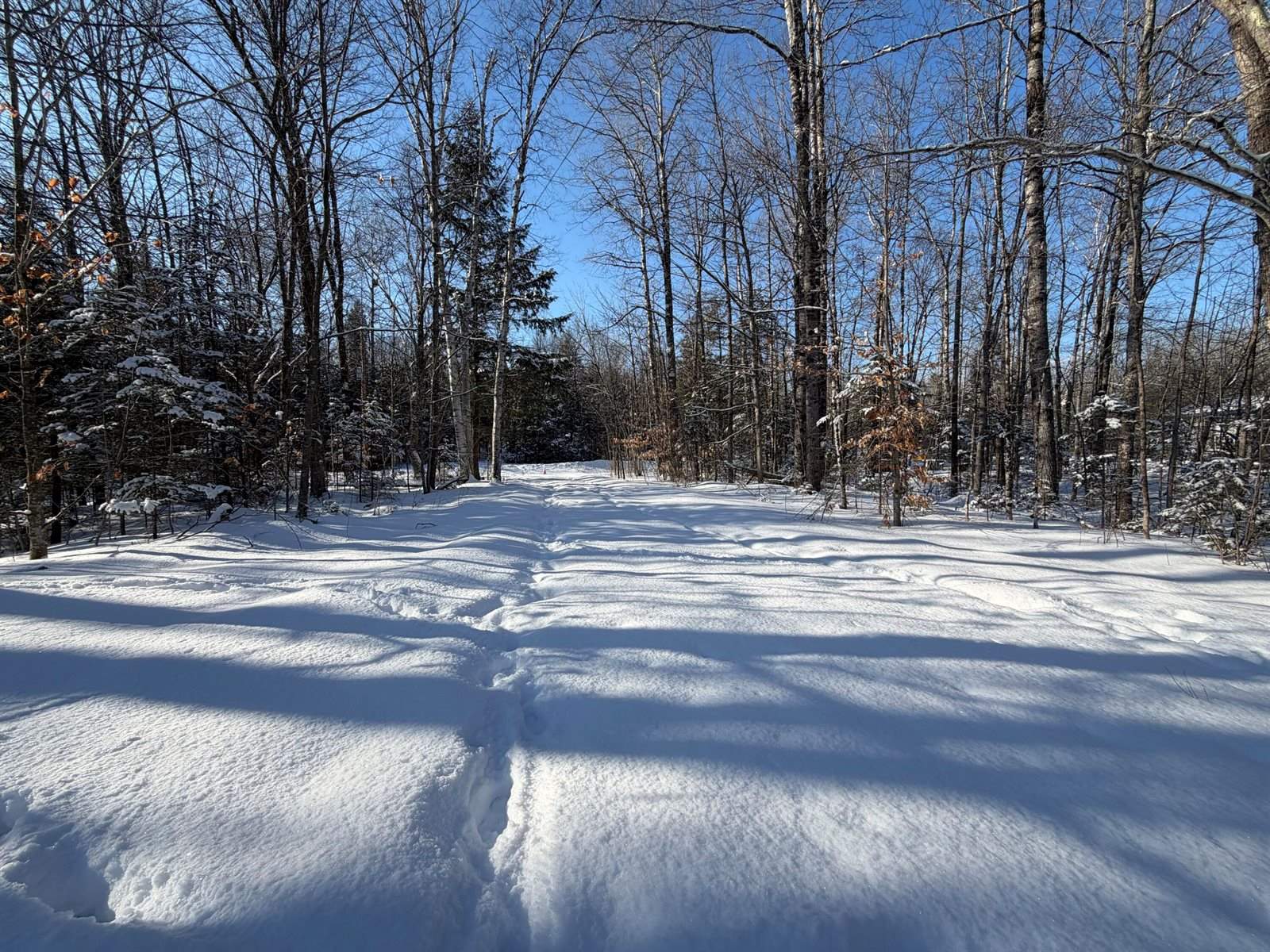 36 Ladd Road, Sebec, ME 04481