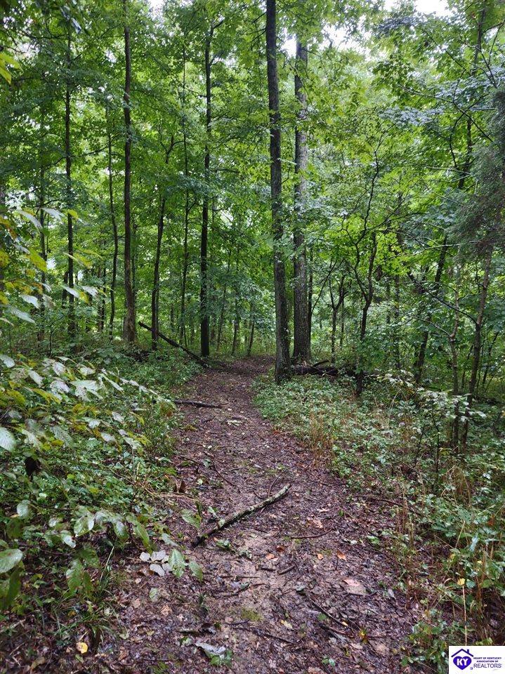 0 Myers Lane, Elizabethtown, KY 42701