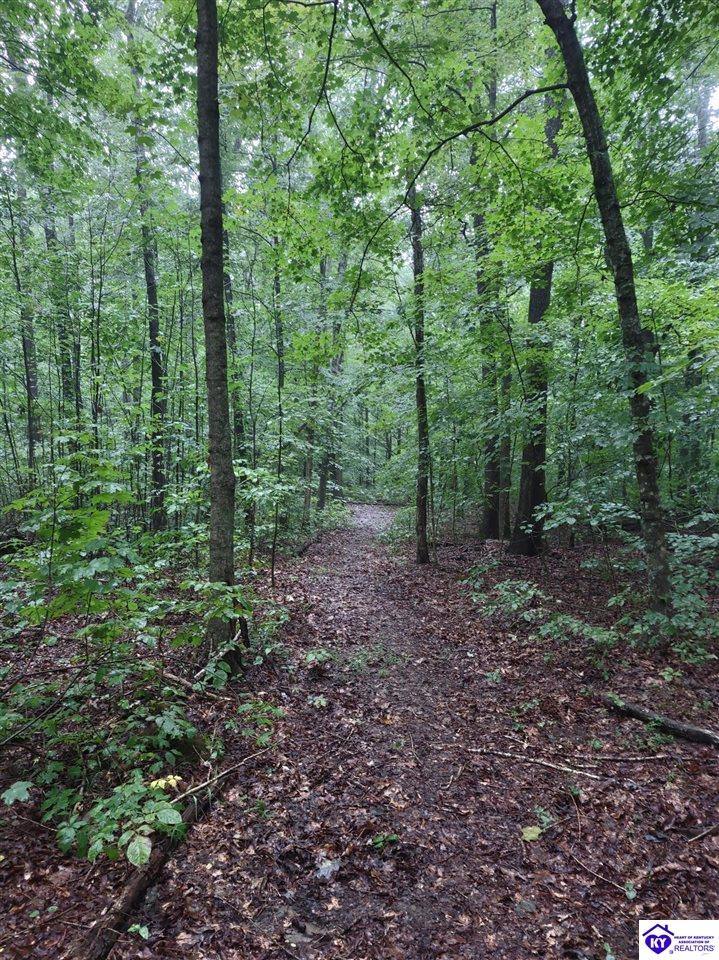 0 Myers Lane, Elizabethtown, KY 42701