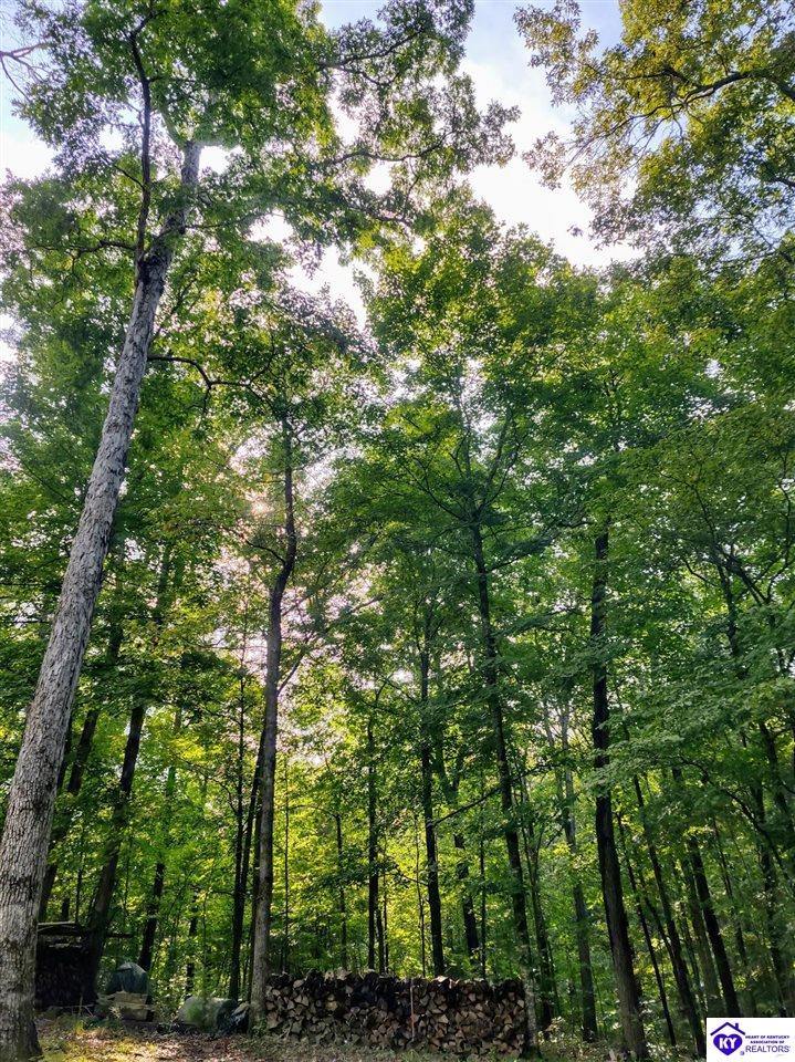 0 Myers Lane, Elizabethtown, KY 42701