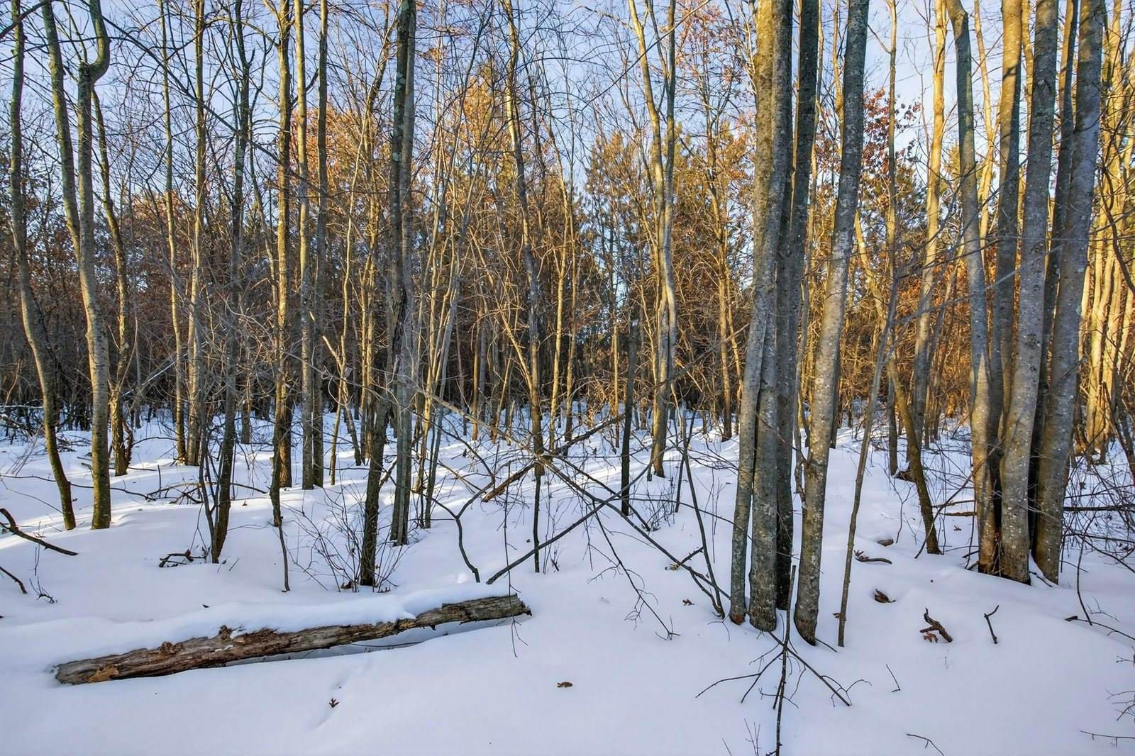 3184 Range Road, Wisconsin Rapids, WI 54495