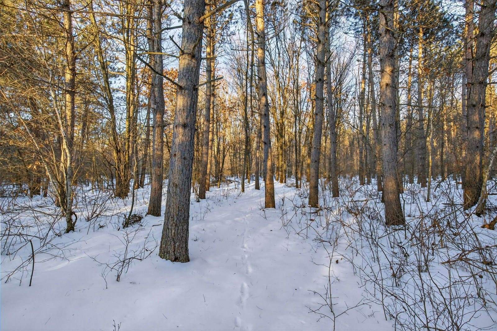 3184 Range Road, Wisconsin Rapids, WI 54495