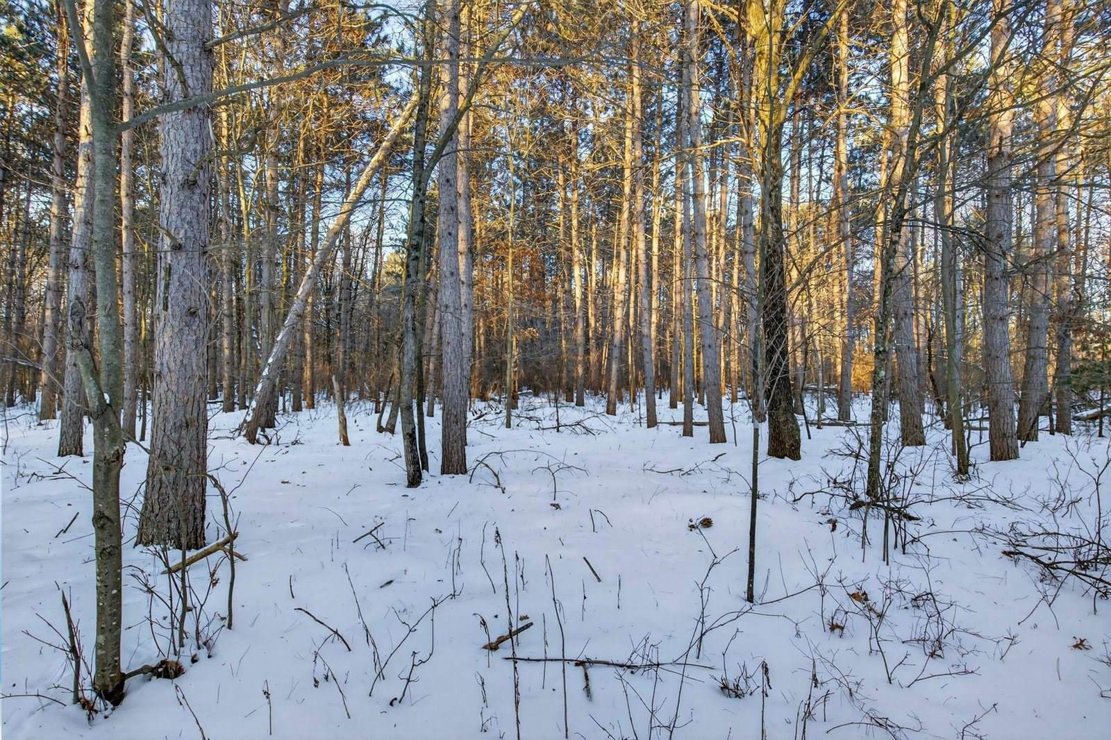 3184 Range Road, Wisconsin Rapids, WI 54495