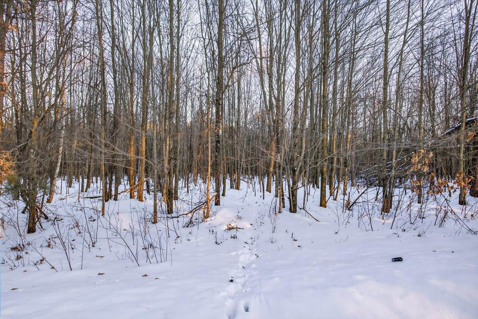 3184 Range Road, Wisconsin Rapids, WI 54495