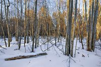 3184 Range Road, Wisconsin Rapids, WI 54495