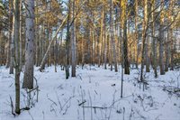 3184 Range Road, Wisconsin Rapids, WI 54495