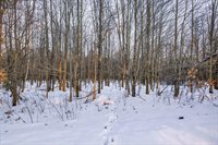 3184 Range Road, Wisconsin Rapids, WI 54495