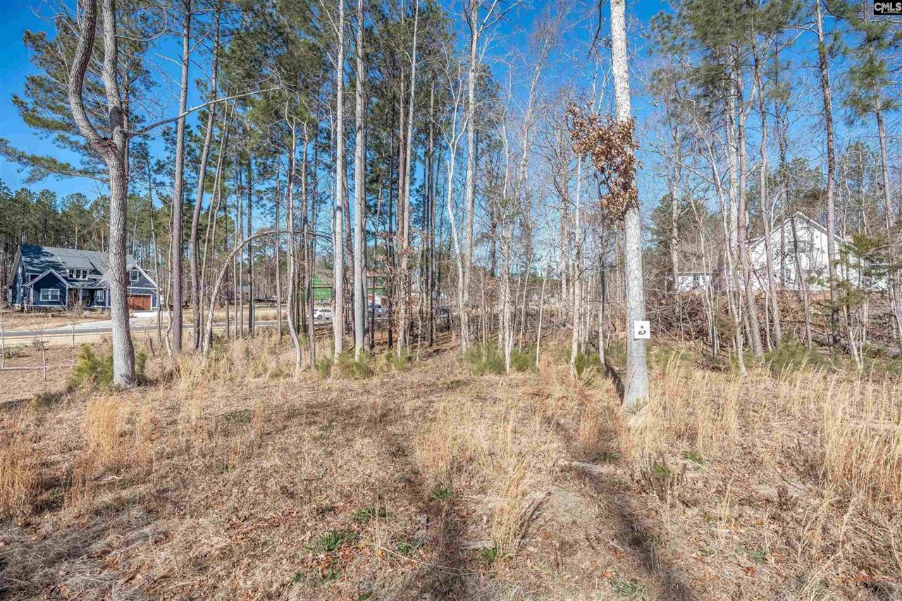 lot 67 Stewart Landing, Prosperity, SC 29127