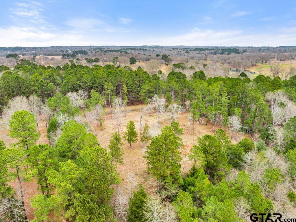 268 County Road 3607, Bullard, TX 75757