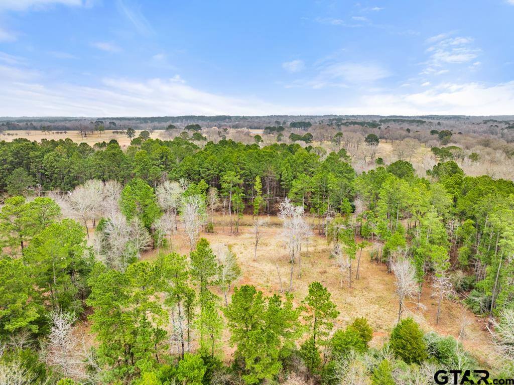 268 County Road 3607, Bullard, TX 75757