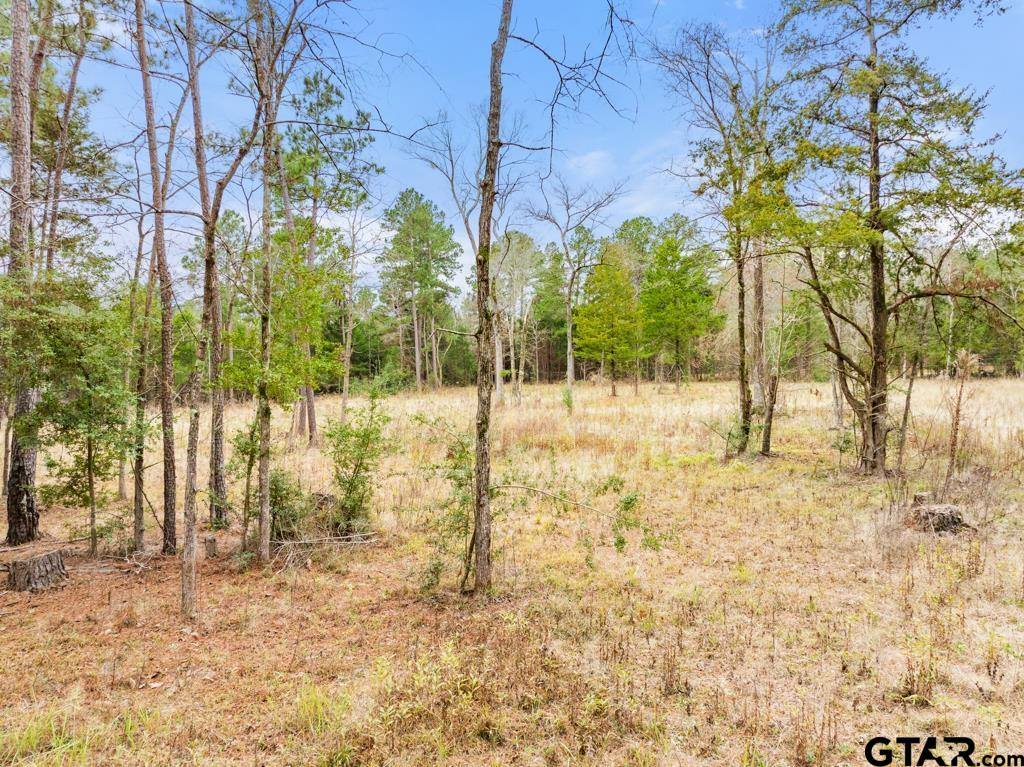 268 County Road 3607, Bullard, TX 75757