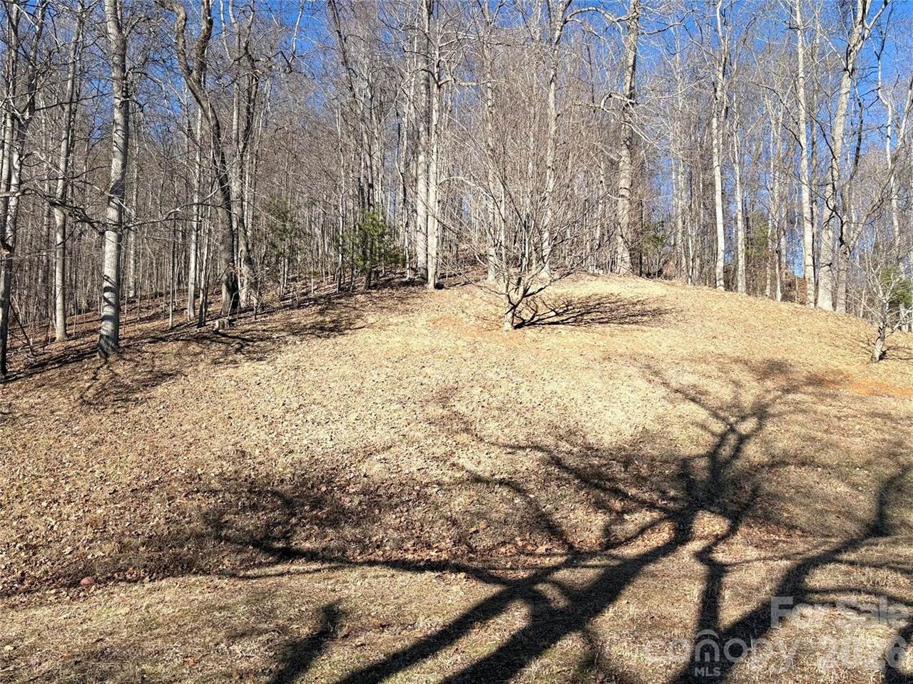 219 Rocking Horse Trail, Burnsville, NC 28714