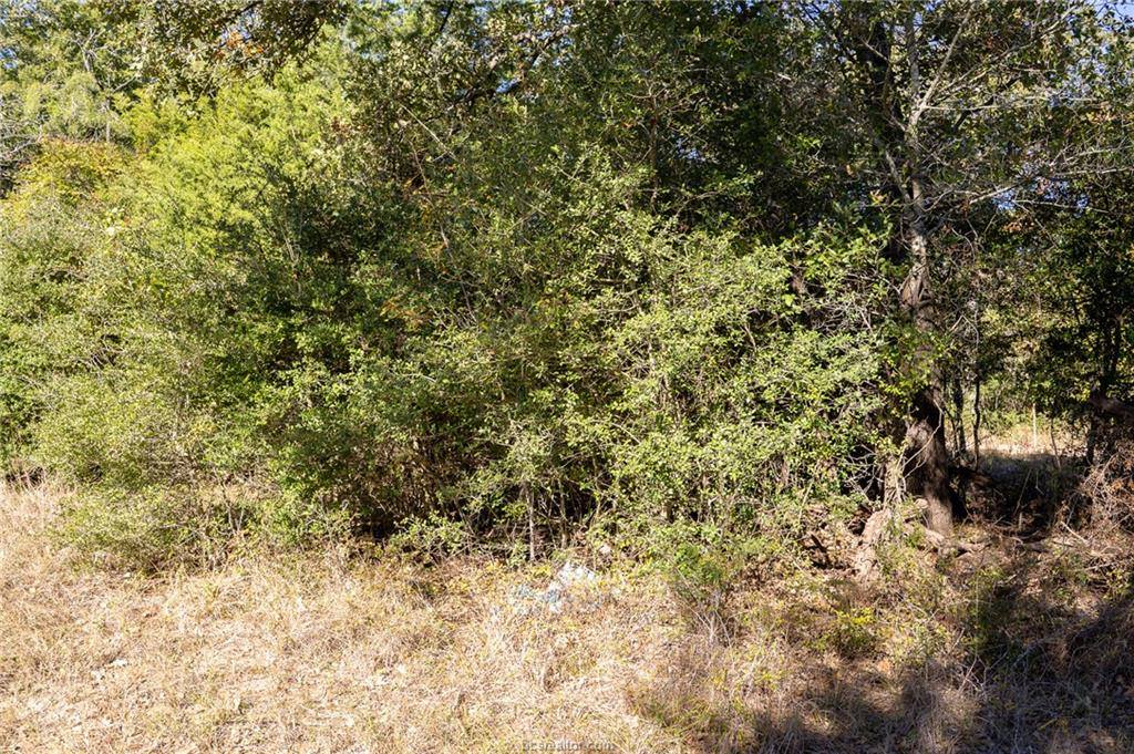 0000 Isaiah Estates, Bryan, TX 77808