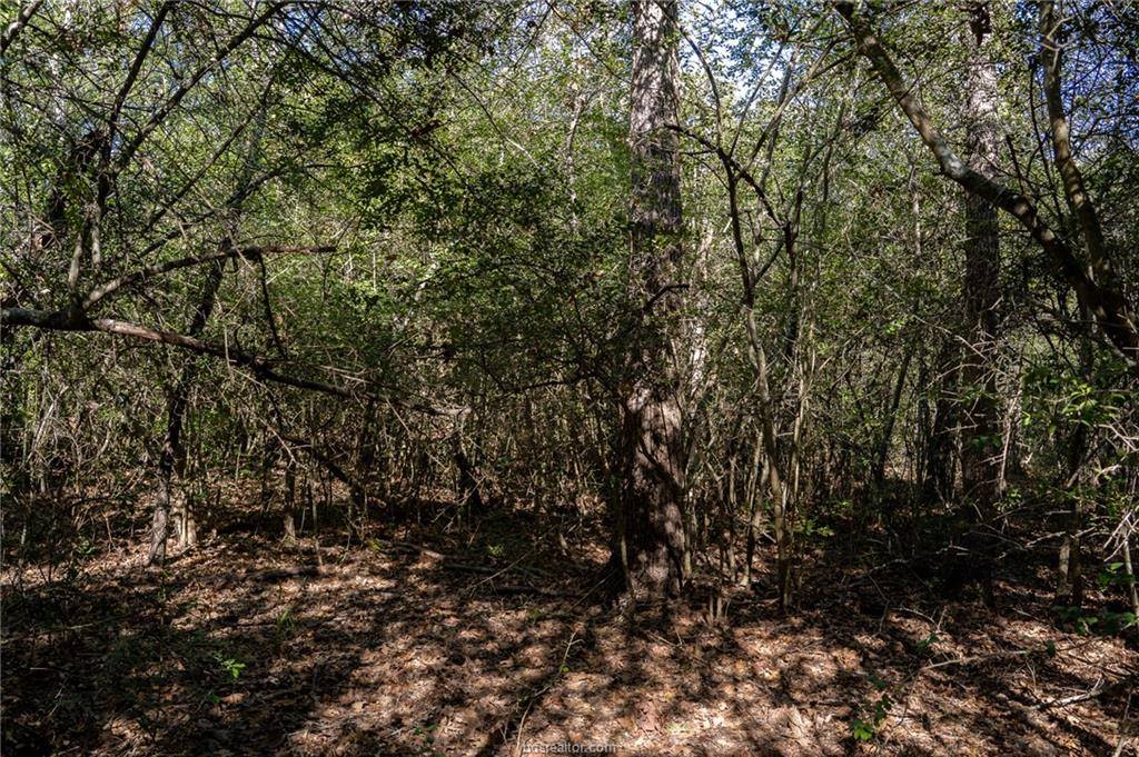 0000 Isaiah Estates, Bryan, TX 77808