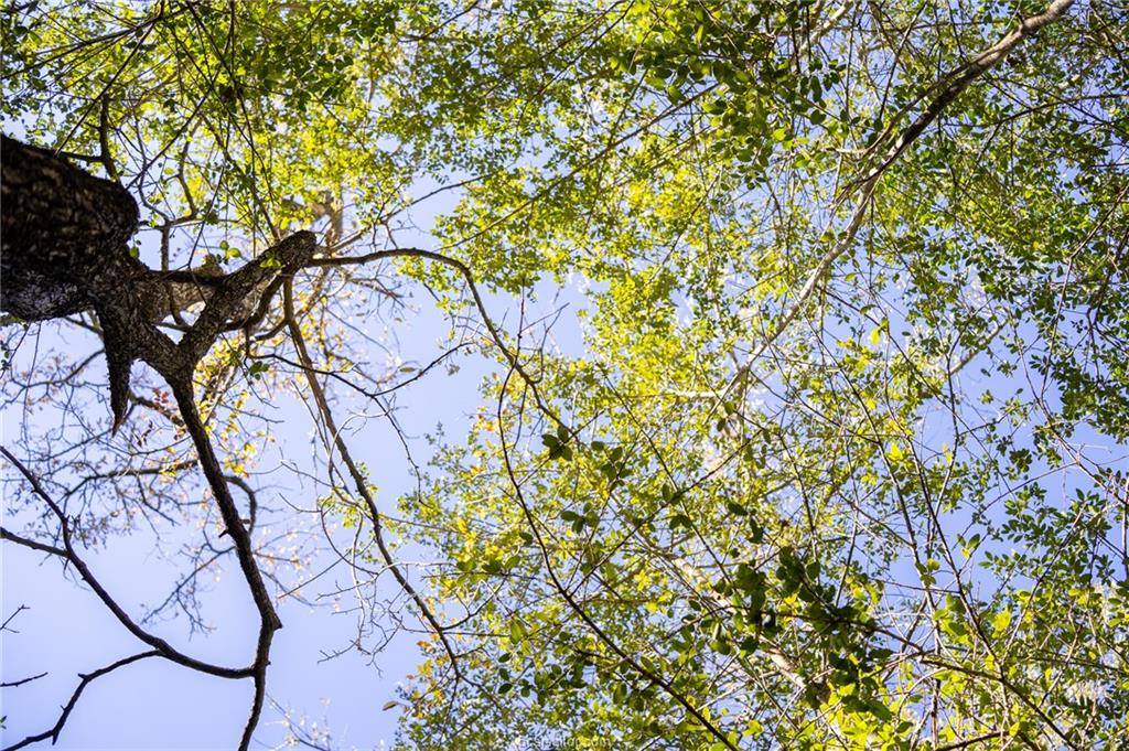 0000 Isaiah Estates, Bryan, TX 77808