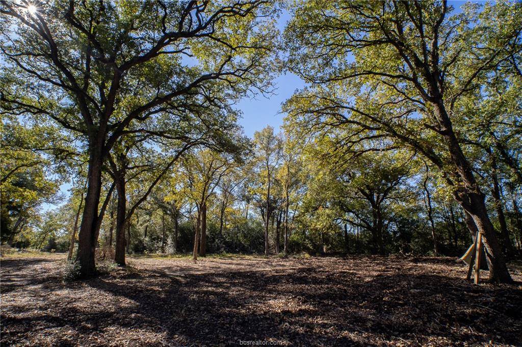 0000 Isaiah Estates, Bryan, TX 77808