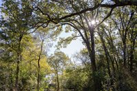 0000 Isaiah Estates, Bryan, TX 77808