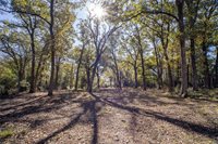 0000 Isaiah Estates, Bryan, TX 77808