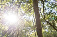 0000 Isaiah Estates, Bryan, TX 77808