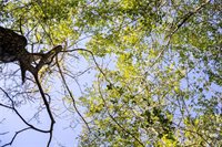 0000 Isaiah Estates, Bryan, TX 77808