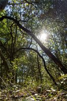 0000 Isaiah Estates, Bryan, TX 77808