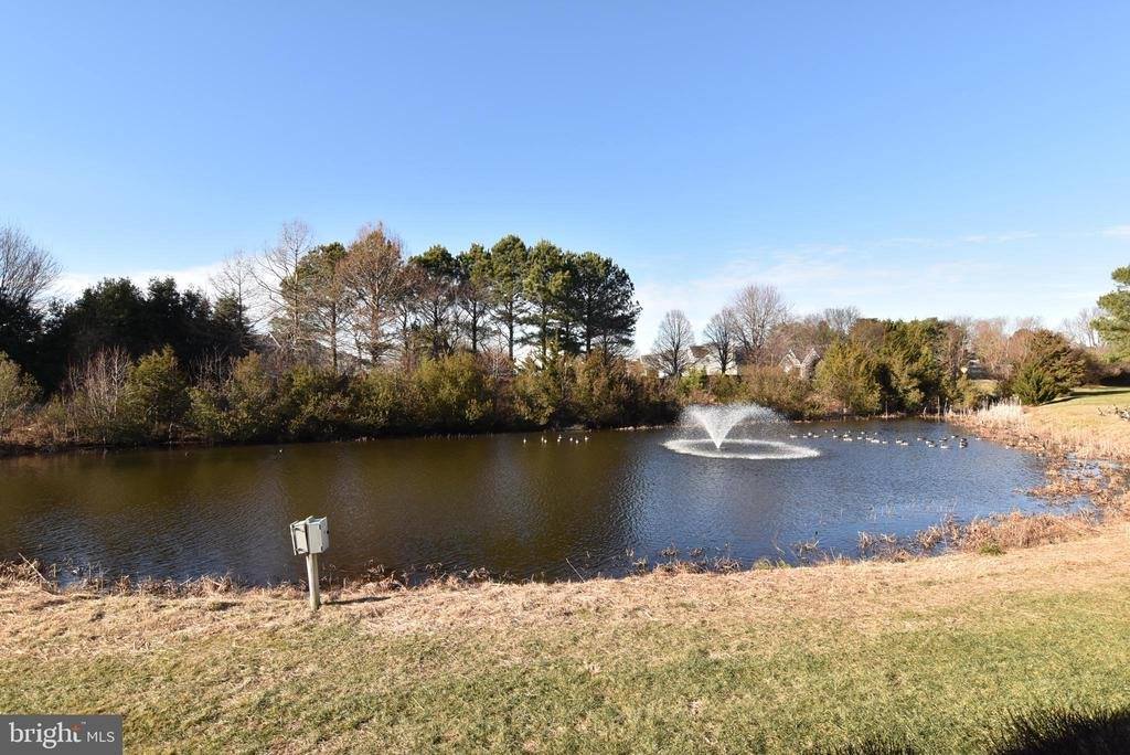 56 October Glory Avenue, #E, Ocean View, DE 19970