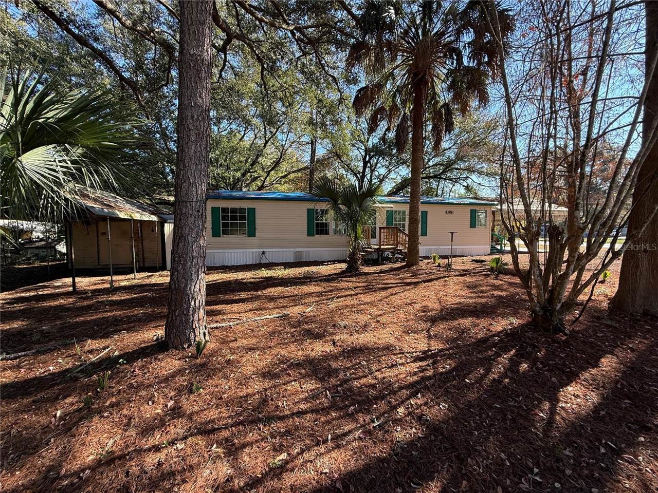 3381 SE 145TH Place, Summerfield, FL 34491