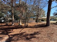 3381 SE 145TH Place, Summerfield, FL 34491