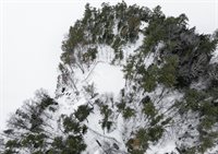 Lot # 5 Locust Lane, Unity, ME 04988