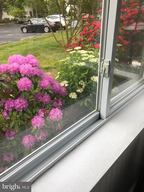 37286 Martin Street, Rehoboth Beach, DE 19971