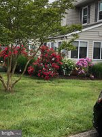 37286 Martin Street, Rehoboth Beach, DE 19971