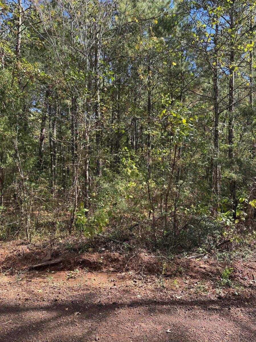 7248 Ginger Rd, Gilmer, TX 75644