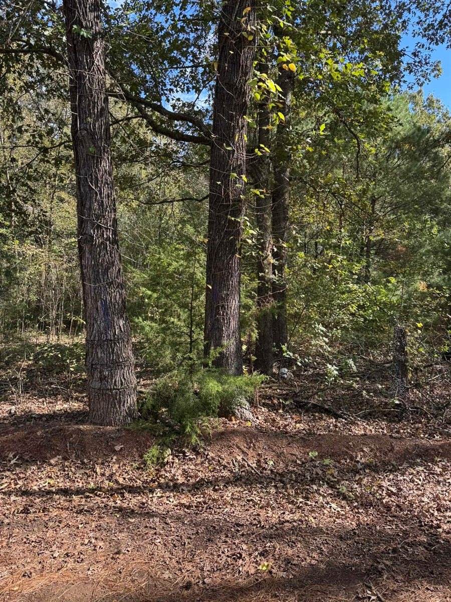 7248 Ginger Rd, Gilmer, TX 75644