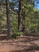 7248 Ginger Rd, Gilmer, TX 75644